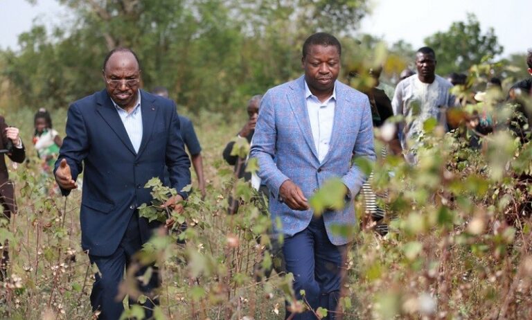 Table ronde de Lomé sur les engrais : Les dirigeants Ouest-Africains s'engagent à investir davantage dans le secteur