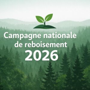 Togo/ Une nouvelle campagne de reboisement pour renforcer la protection de l’environnement