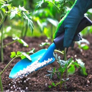 Togo/ 42 milliards de FCFA pour des engrais destinés aux cultures vivrières
