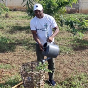 Togo-CNSS/ Le fonds vert conjoint mobilisé pour le reboisement